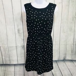 XS Ann Taylor Loft Dresss NWOT